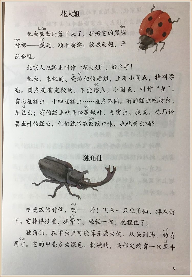 汸¼ӽ̲