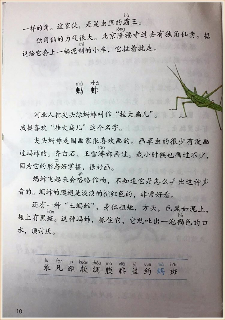 汸¼ӽ̲
