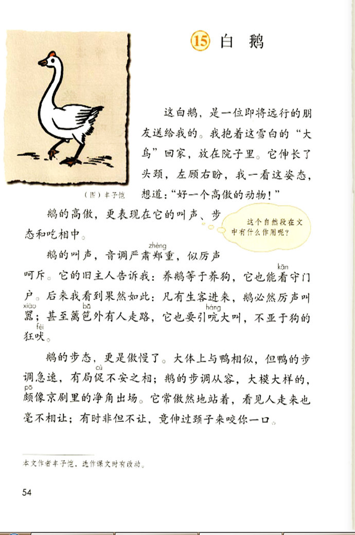 《白鹅》电子教材