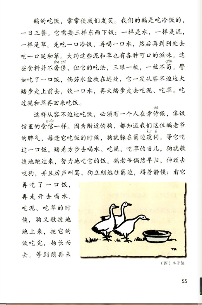 《白鹅》电子教材