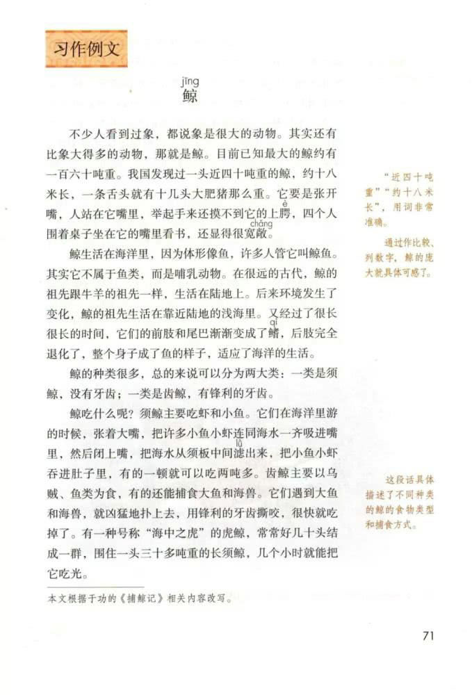 《习作例文》电子教材