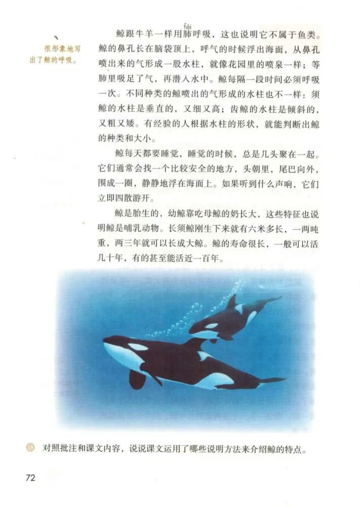 《习作例文》电子教材