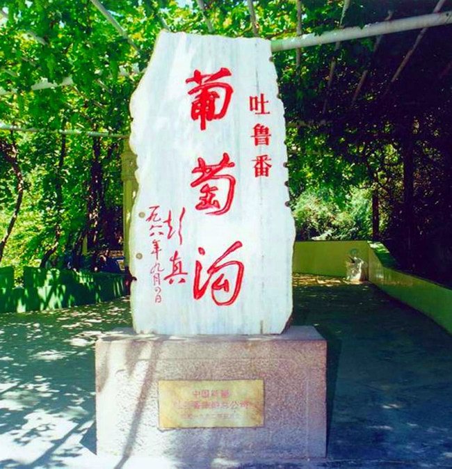 葡萄沟